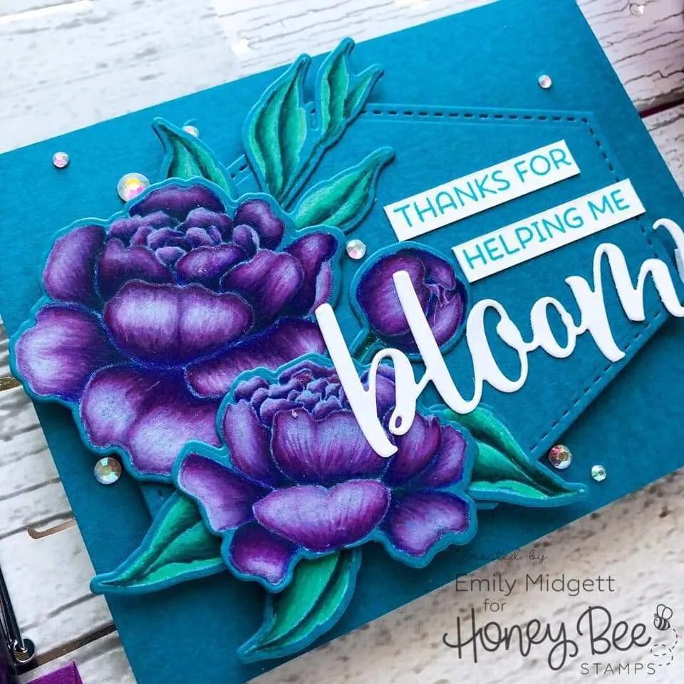 Bloom - Honey Cuts - Retiring