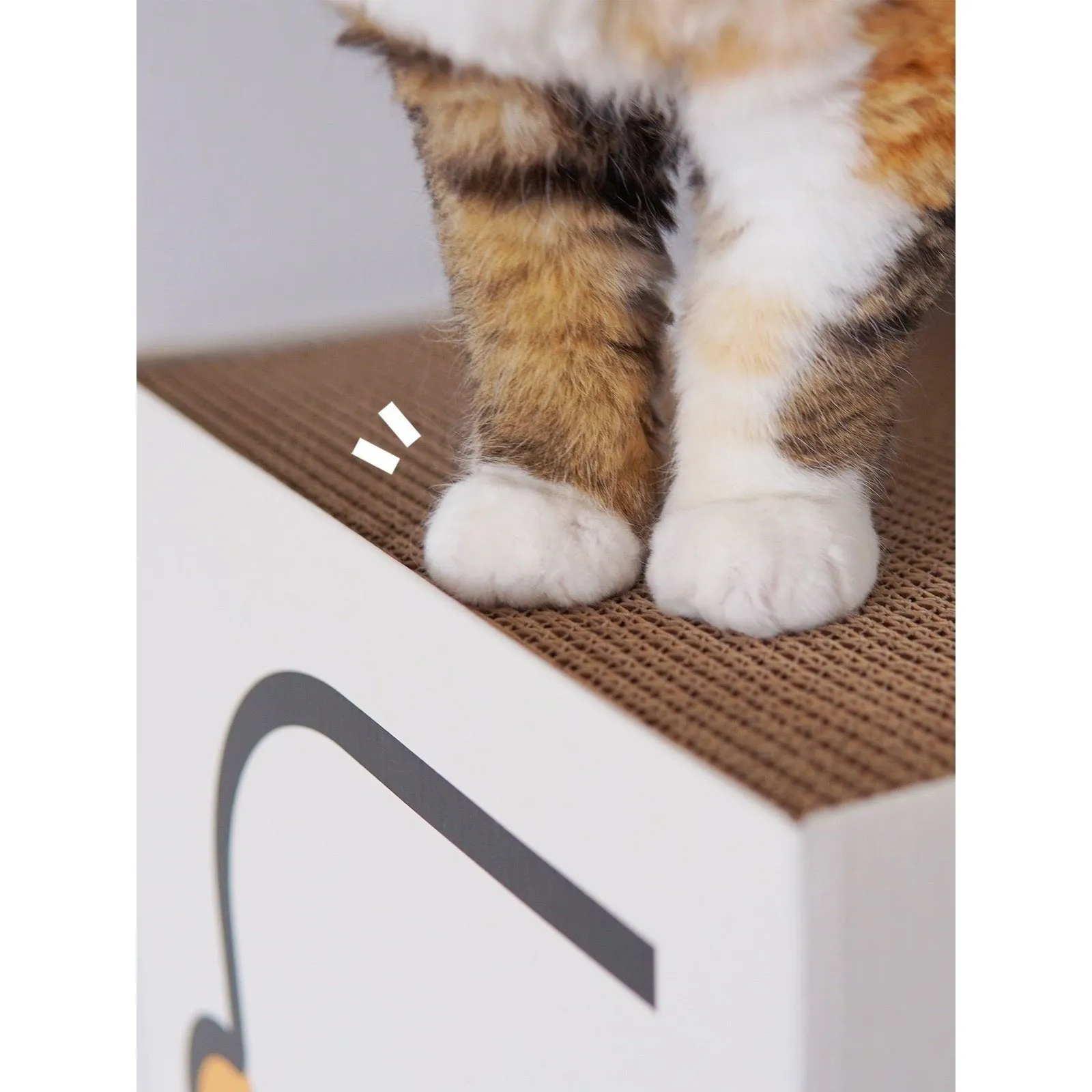 PURROOM Double Layer Scratcher Box