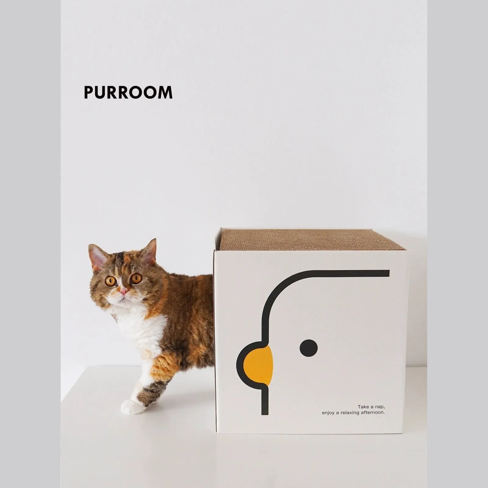 PURROOM Double Layer Scratcher Box